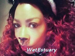WetEstuary