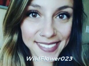 WildFlower023