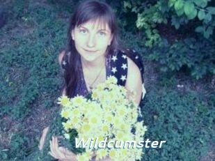 Wildcumster