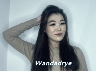 Wandadrye