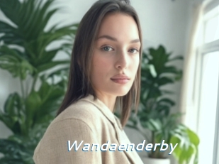 Wandaenderby