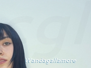 Wandagallamore