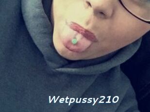Wetpussy210