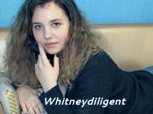 Whitneydiligent