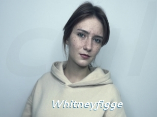 Whitneyfigge