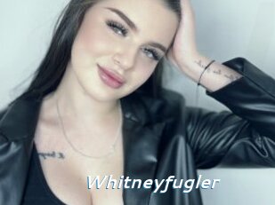 Whitneyfugler