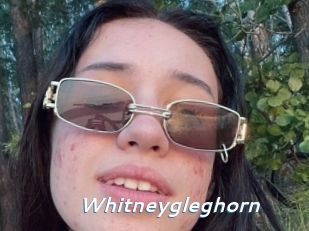 Whitneygleghorn