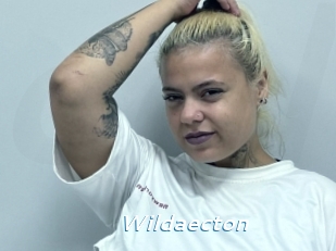 Wildaecton