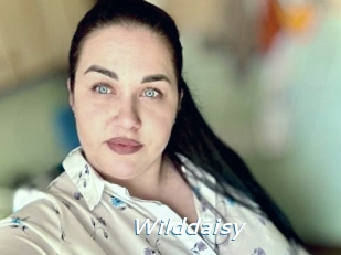 Wilddaisy
