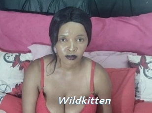 Wildkitten