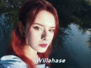 Willahase