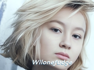 Wilonefudge