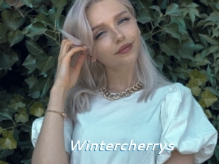 Wintercherrys
