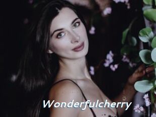 Wonderfulcherry