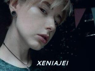 XENIA_JEI