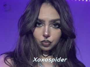 Xoxospider