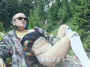 YALES