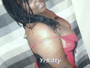 YrKitty