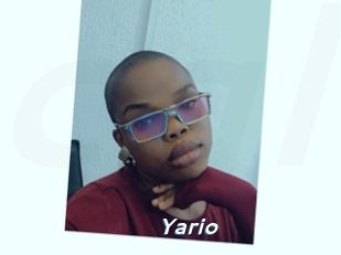 Yario