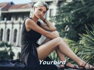 Yourbird