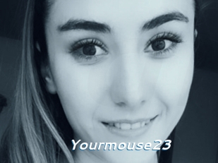Yourmouse23