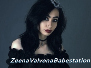 ZeenaValvonaBabestation