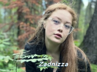 Zadnizza
