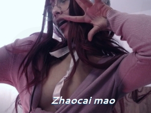 Zhaocai_mao