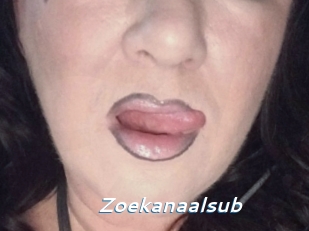 Zoekanaalsub